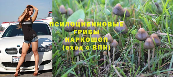 амф Володарск
